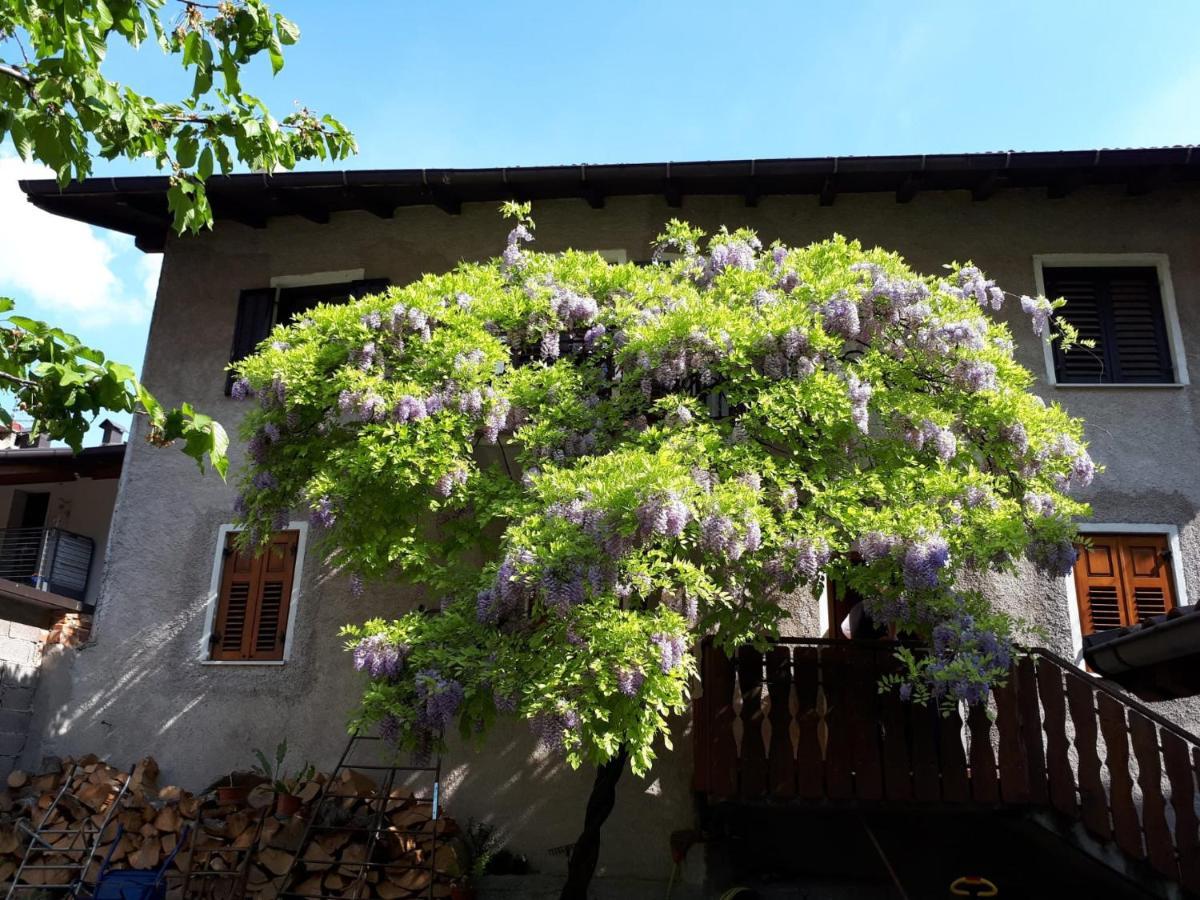 Casa Romy Daire Rovere della Luna Dış mekan fotoğraf